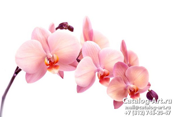 картинки для фотопечати на потолках, идеи, фото, образцы - Потолки с фотопечатью - Розовые орхидеи 88